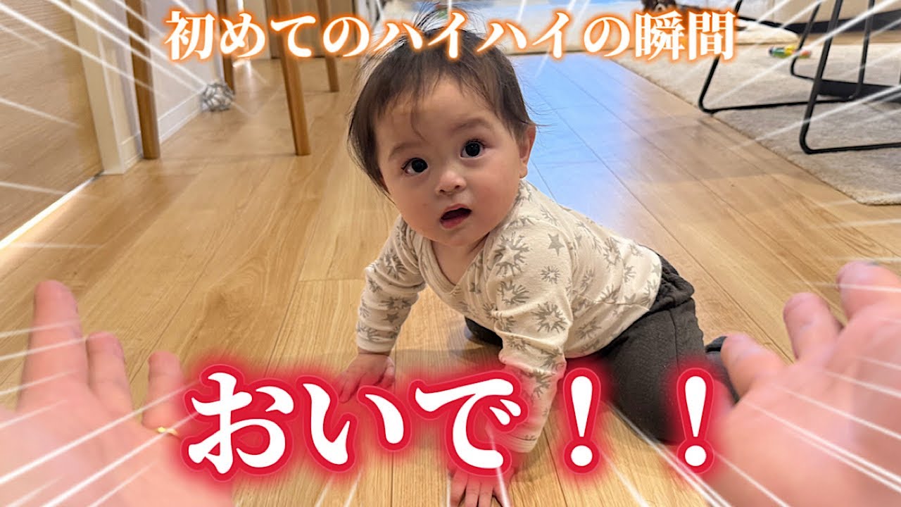 カルくん初のハイハイの瞬間！！その後の旦那の行動がヤバすぎた…笑