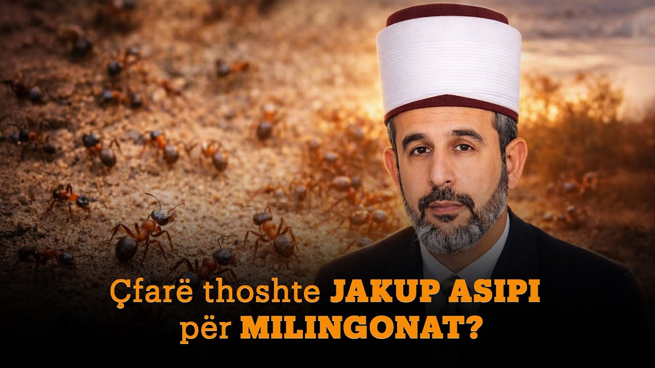 Çfarë thoshte Jakup Asipi për MILINGONAT? #shorts #shqip #ligjerataislame #tregimeislame