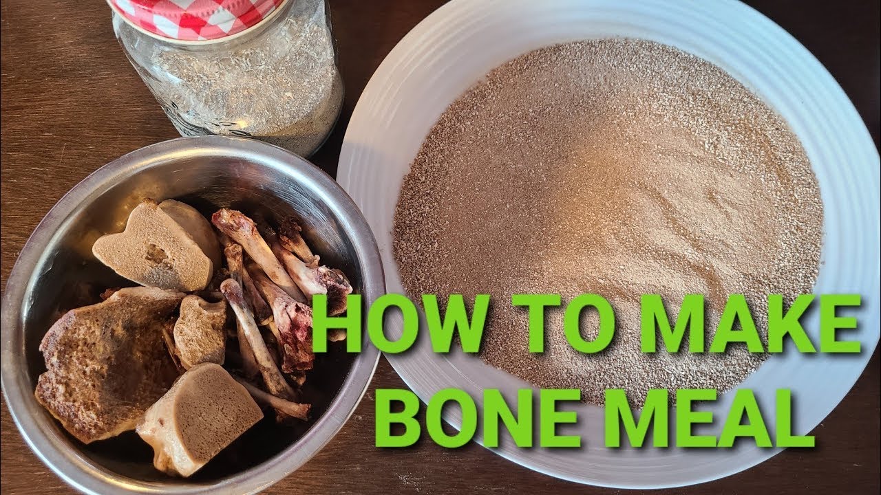 Utilization of Bones (3.25): Dr Mandal PK