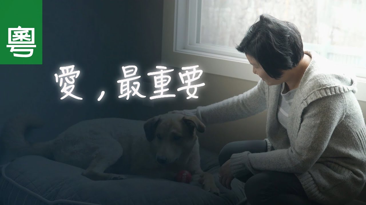電視見證 TV1709 愛，最重要 (HD粵語)