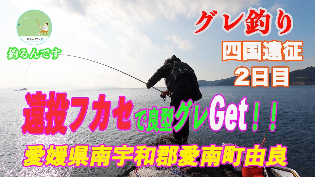 【グレ釣り】四国遠征！2日目 遠投フカセで良型グレGet！！愛媛県南宇和郡愛南町由良　＃グレの磯つり　＃フカセ釣り  ＃由良半島