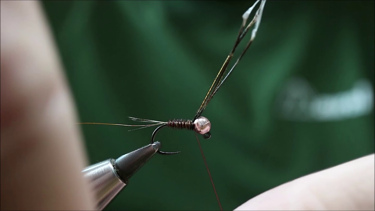 Bažantí nymfa-Fly tying