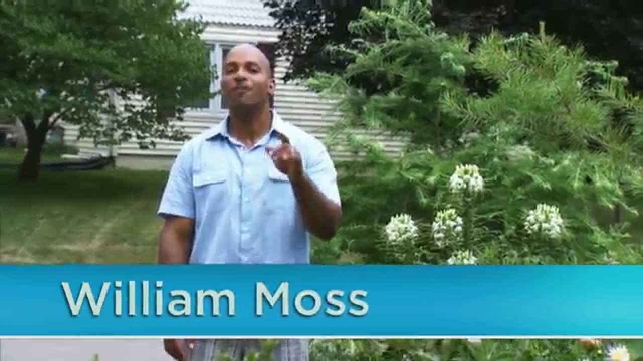 How to Grow a Four Season Garden