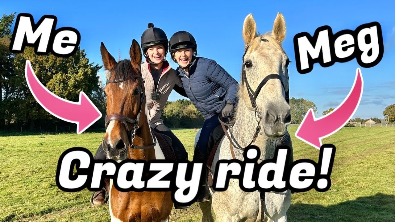 FUN & FAST HORSE RIDE WITH ELPHICK EVENT PONIES