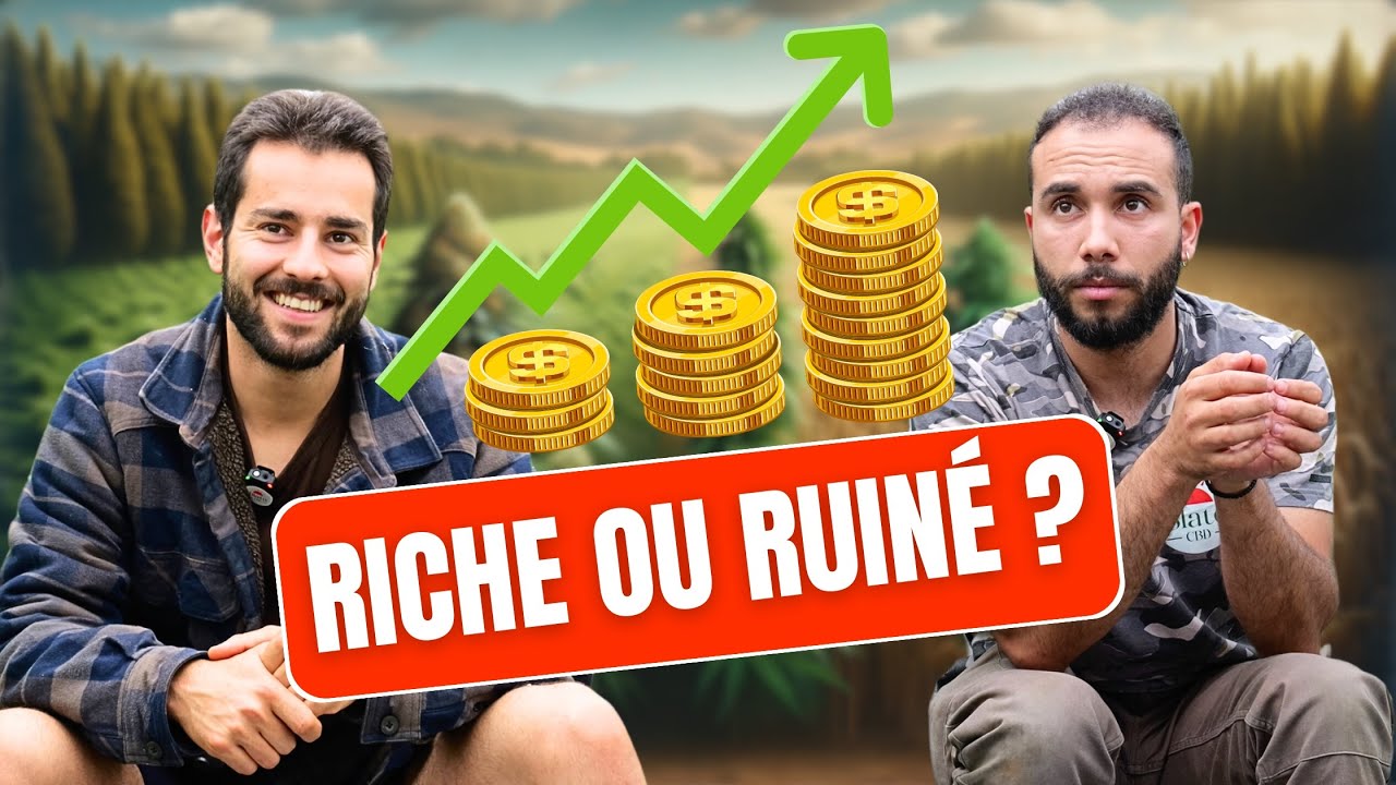 BLATO EST IL RENTABLE ? COMBIEN EST CE QU'ON GAGNE ?