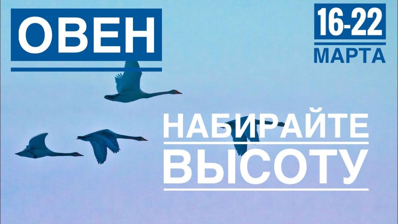 Овен ♈️ 16-22  марта 2026 года ☀️💪✨🪄❤️ТАРО Ленорман прогнозы 