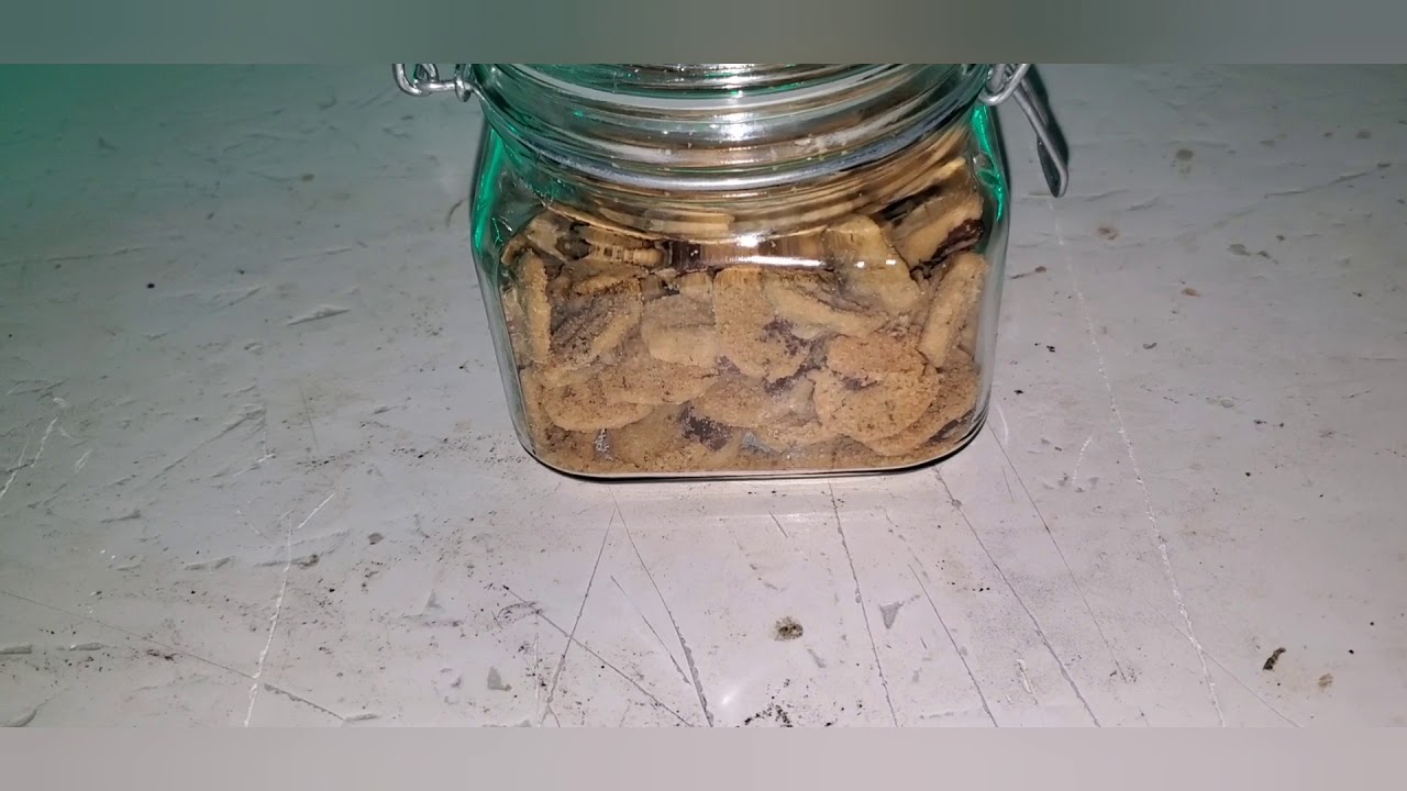 MEDICATED CHOCOLATE CHIP COOKIES !!!!!!