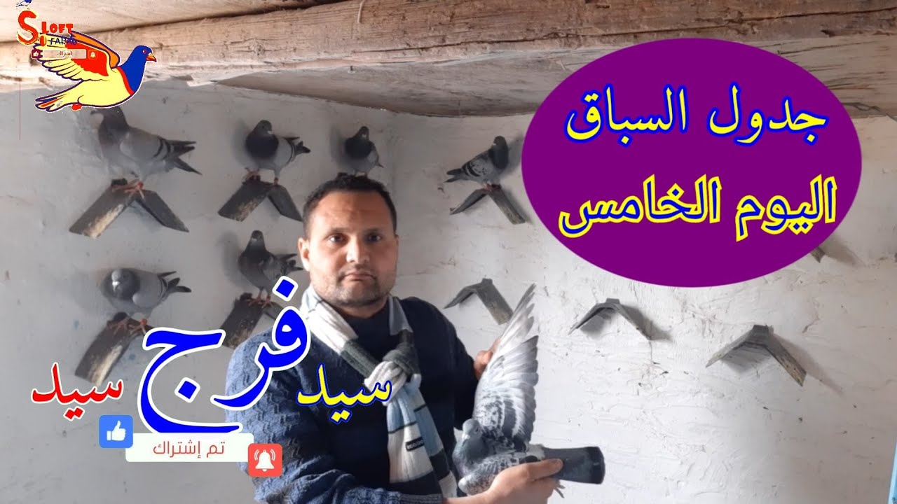 جدول #سباق #الحمام #الزاجل وسر زياده #سرعه الحمام واستخدام#منشط ال كارنتين والمغنيسوم كاربو بور وCmk