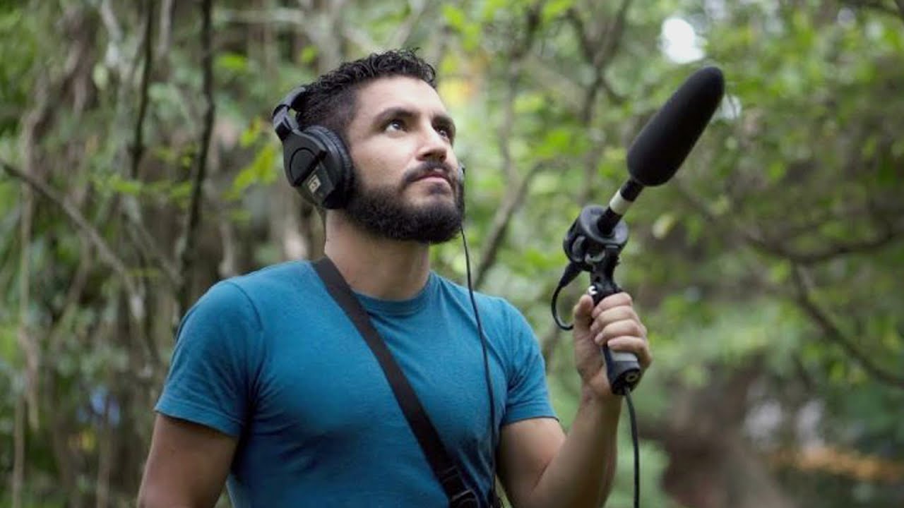 Científicos ticos: impacto en el canto de las aves por Alejandra Fernández B.
