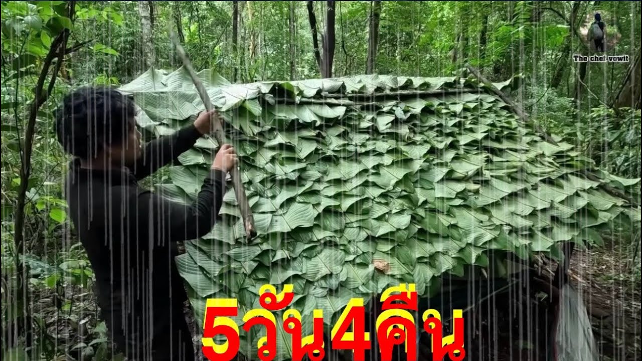 สร้างที่พัก นอนป่าดิบ ฤดูฝน ท่ามกลางความหนาวเย็น 5วัน
