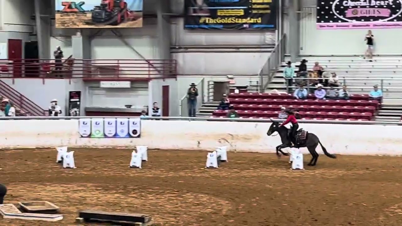 Melissa Glowinski - Open Mule Round 1 - Worlds 2024