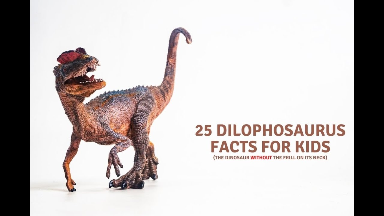 Dilophosaurus Facts for Kids