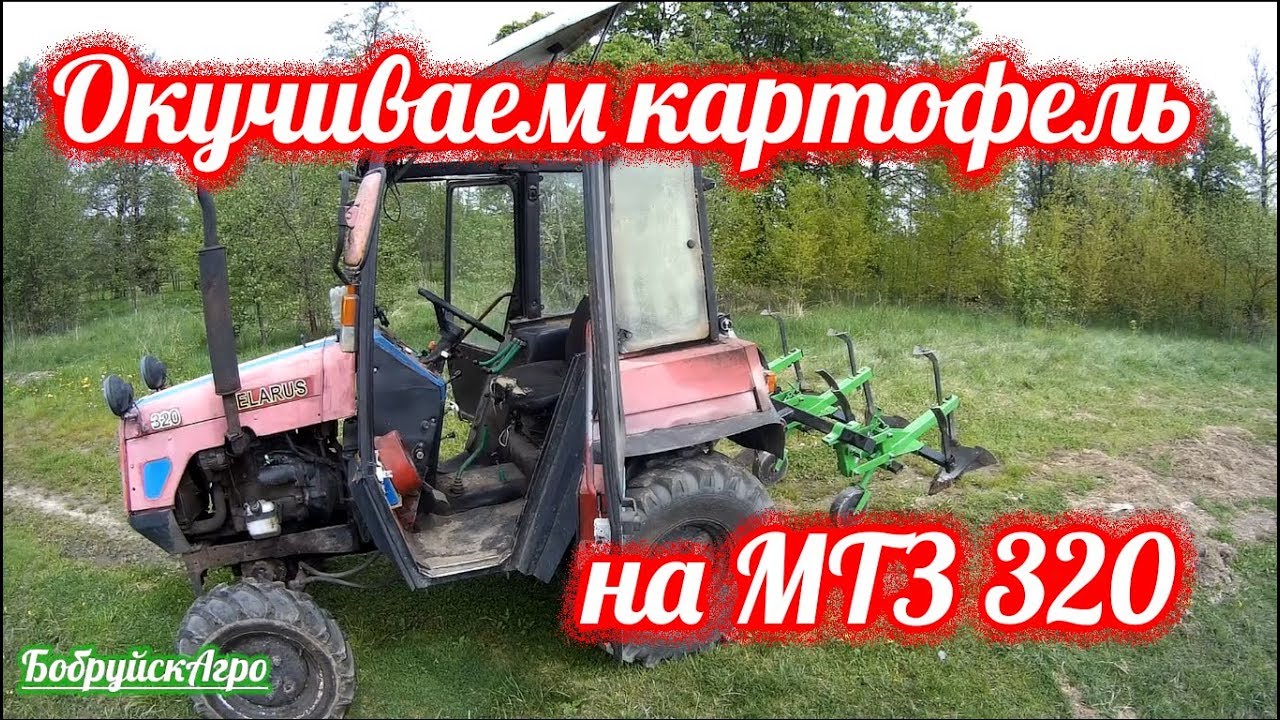 Окучиваем картофель на МТЗ 320