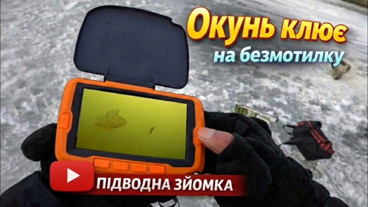 😱 ДИВИМОСЬ ОКУНЮ В ОЧІ. Безмотилка і Жерлиці на Щуку!