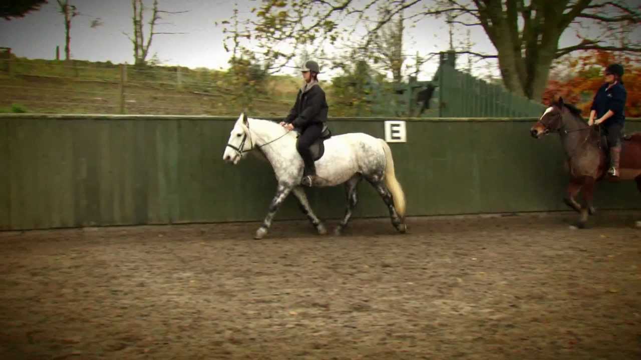 Horse Riding at Crieff Hydro