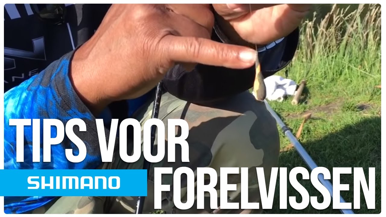 Tips voor forelvissen - met Rob Hens | BNLX