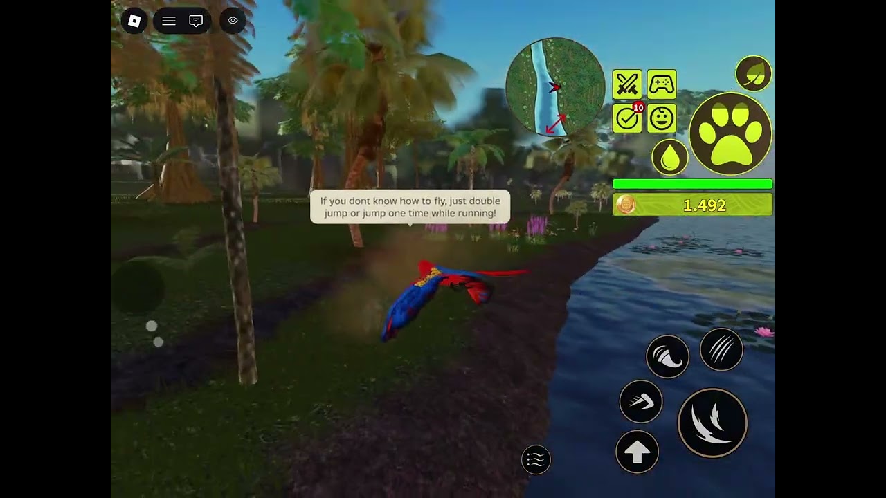 New Macaw Animal Update! | Jungle Life Roblox
