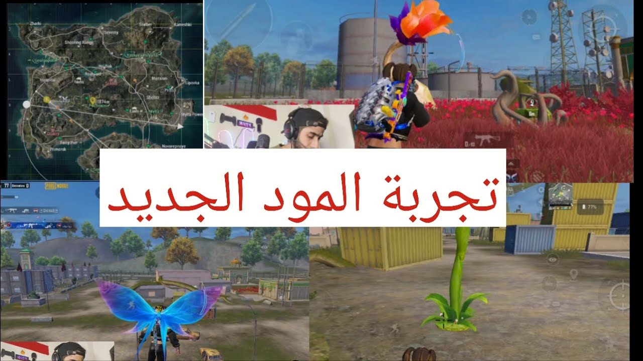 المود الجديد فراشة؟؟؟؟؟😱