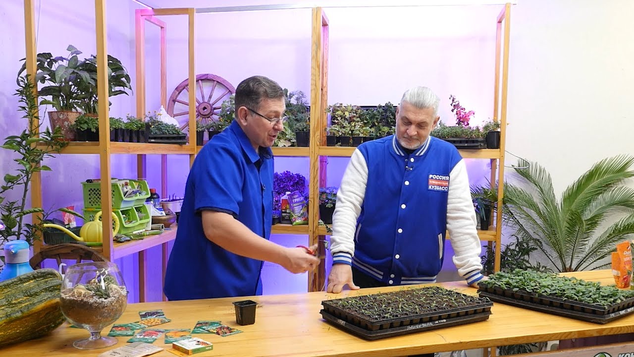 Вести.Интервью: Владислав Кундасёв, агроном