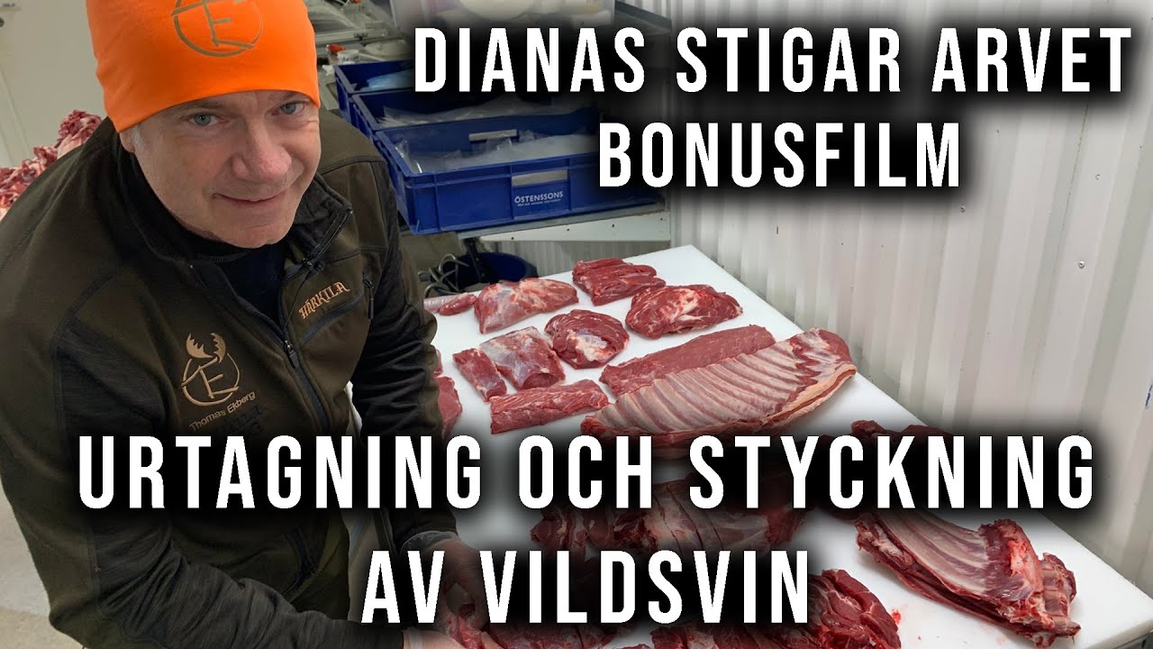 Dianas Stigar Arvet - Bonusfilm styckning av vildsvin