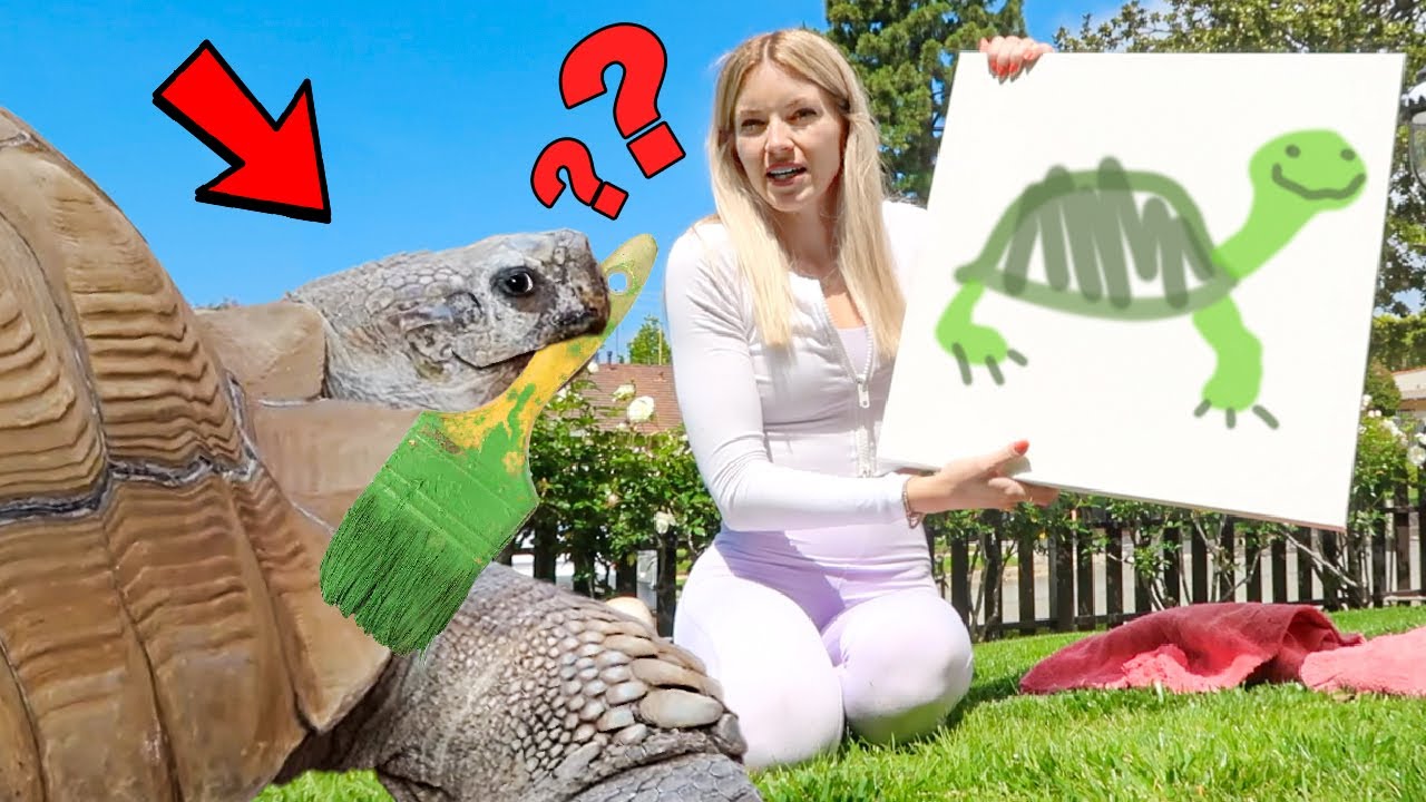Когда моя черепаха стала художницей?