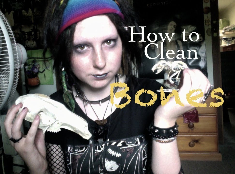 How to Clean Bones