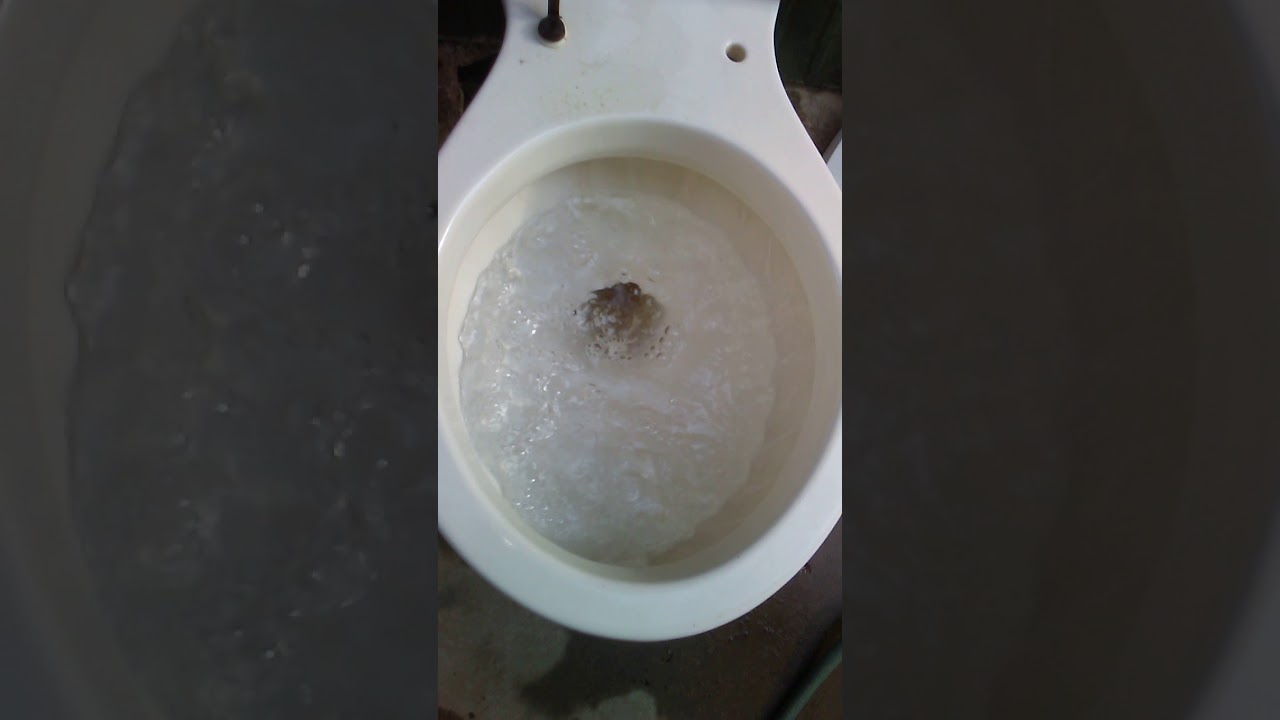 Toilet House April 2018 tour