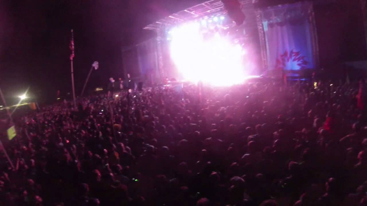 (Full Set) Bassnectar Wakarusa 2014(Pink Elephant Camera)