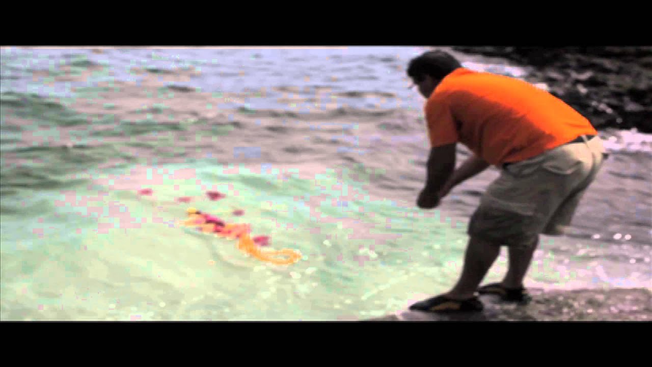 Alaina Reed Hall Amini Ashes In Hilo Bay Hawaii.