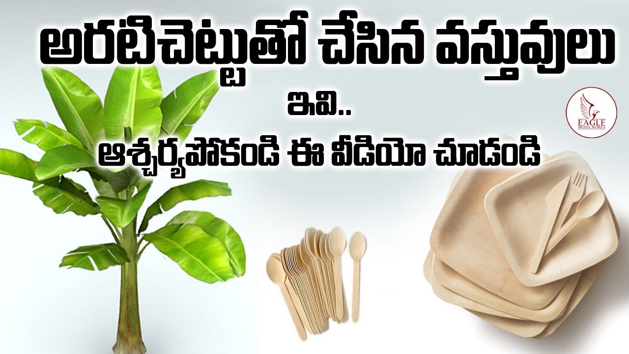 This Go Green Products With Banana Tree Will Shock You | Eagle Media Works