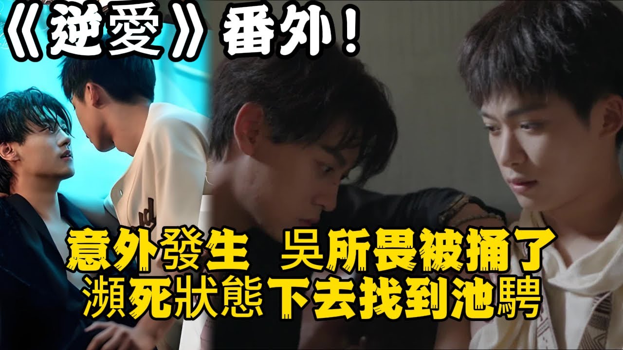 《逆愛》：番外！意外發生，吳所畏被捅了，瀕死狀態下去找到池騁。這一次，誰都不會再放手了。#田栩宁 #梓渝 #吴所畏 #池骋 #逆爱 #revenged