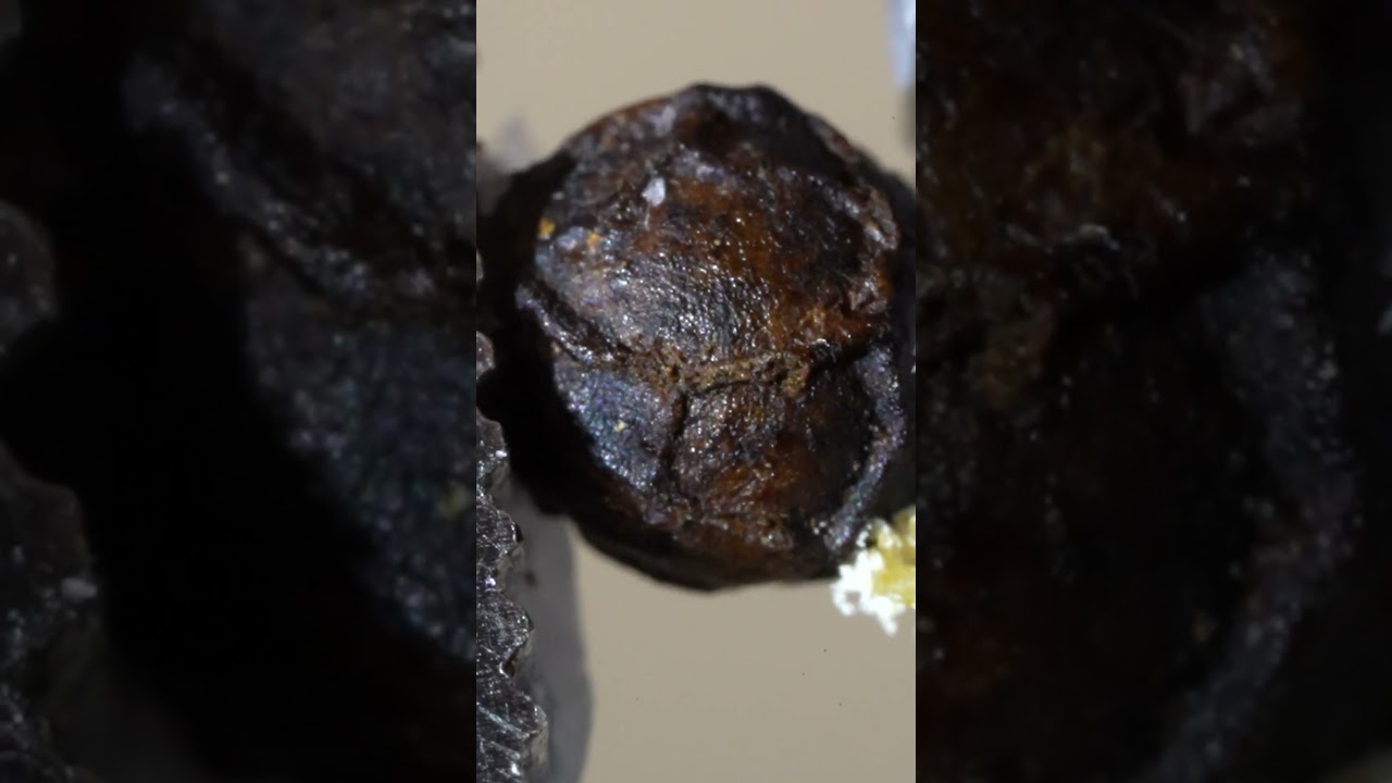 🤯 Extreme Close Up Satisfying Pressing Pepper  