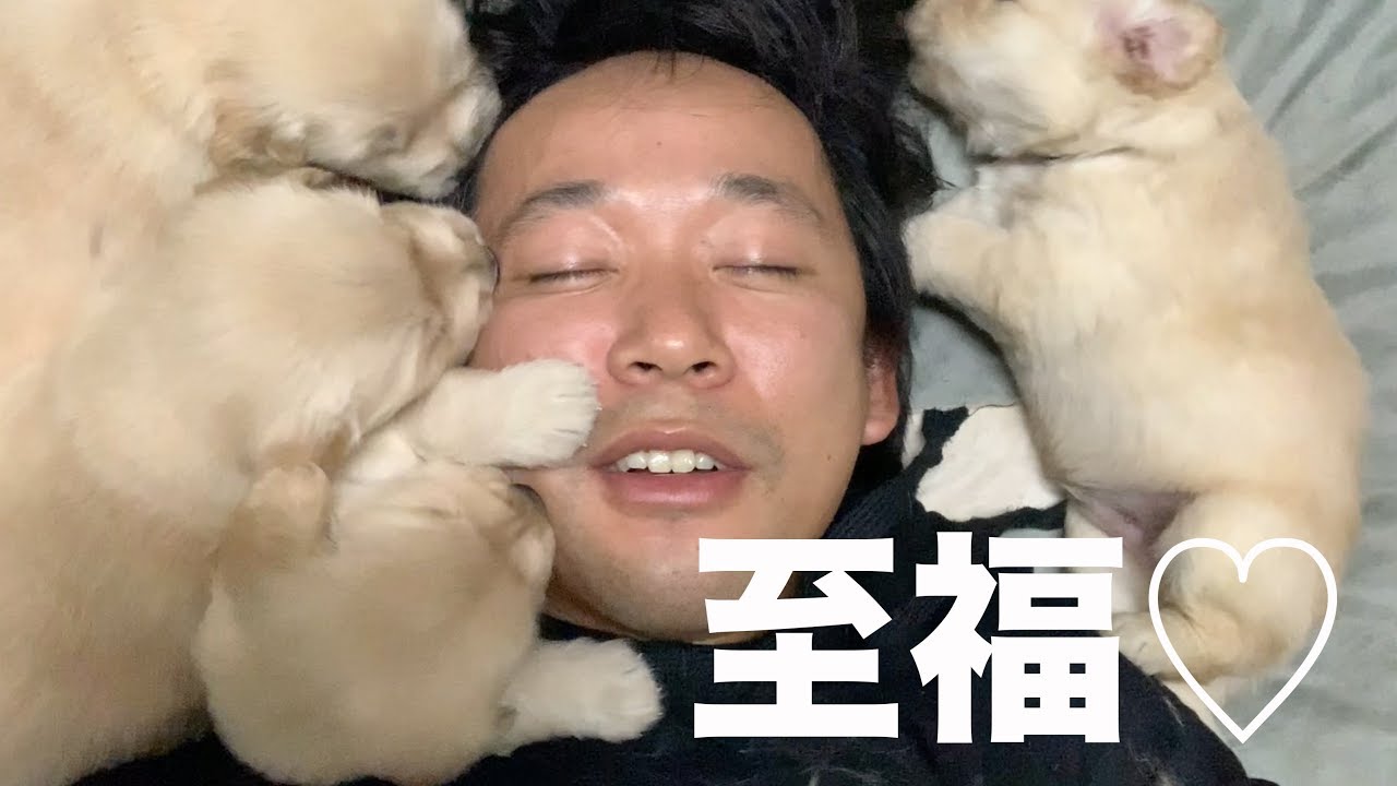 今から幸せになります I can be happy !