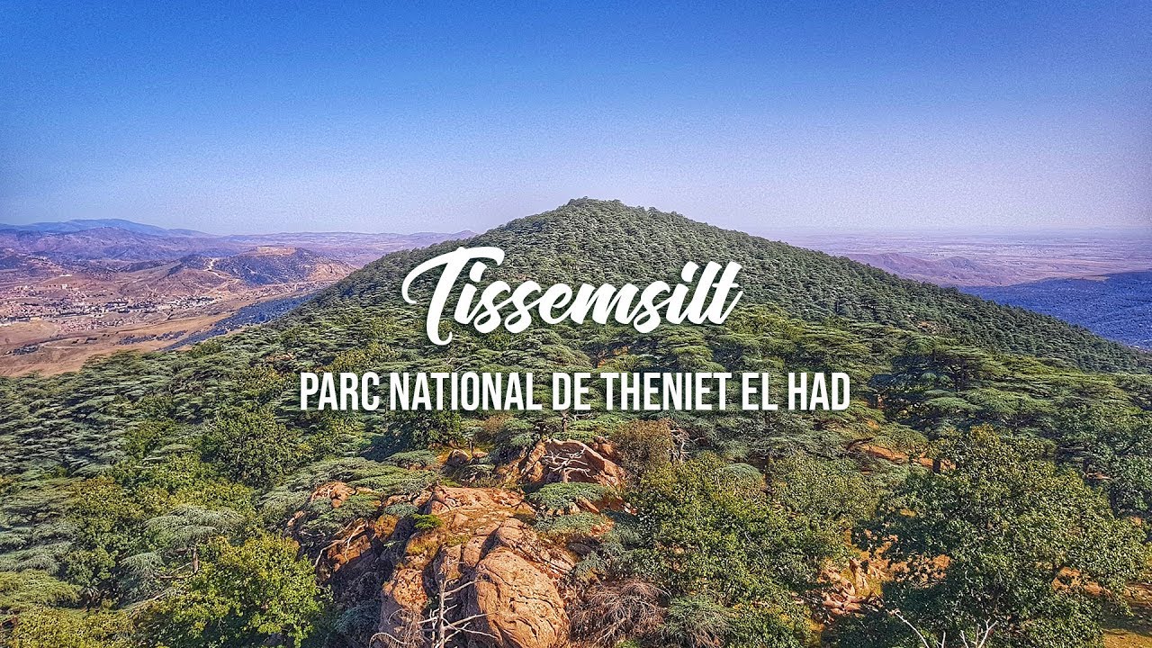 Tissemsilt - Parc national de Theniet El Had 4k | تيسمسيلت - الحديقة الوطنية ثنية الحد
