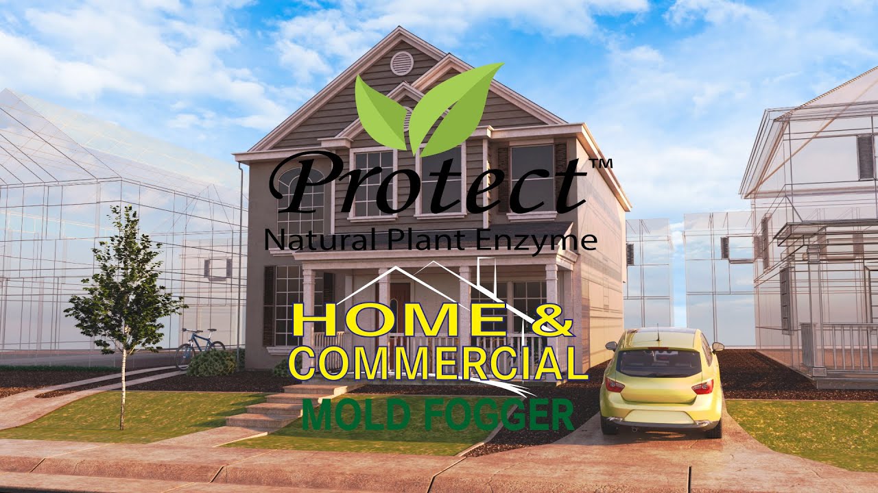 Protect - Your Plant-Based Solution to Mold & Odors by DWD2 Clean Air