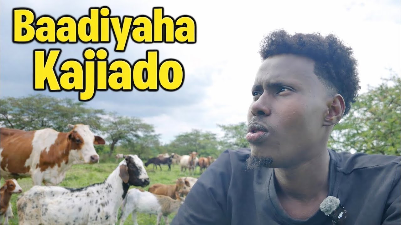 WAXAN TAGY BAADIYO 🇰🇪 Kajiado 