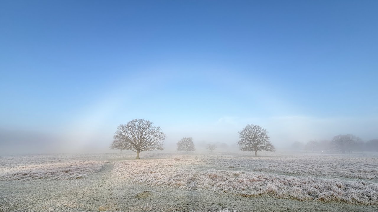 Fogbow Sunrise with Deer | Frosty January Morning in Richmond Park | 4K Nature