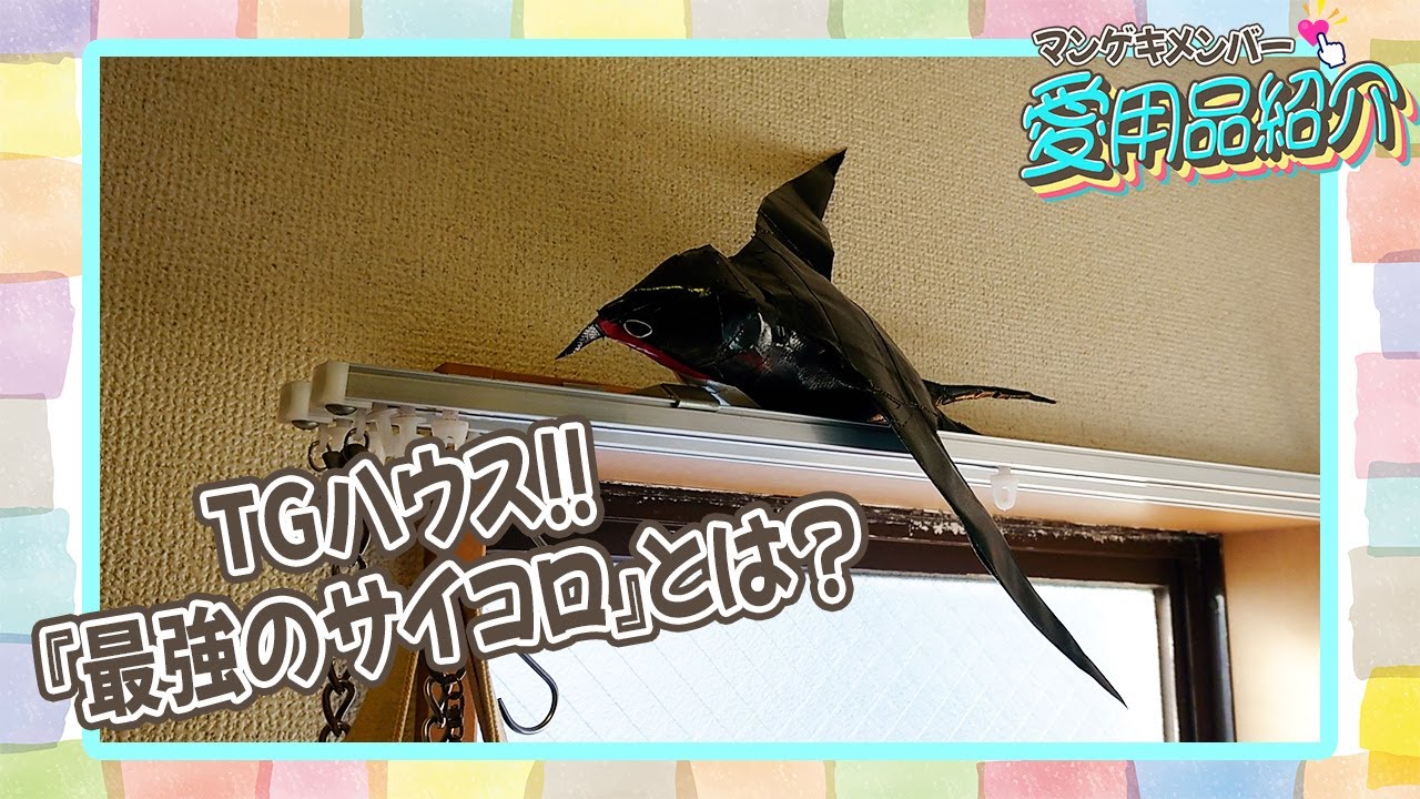 ダブルアートのタグが愛用品...？を紹介！！【マンゲキメンバー愛用品紹介】
