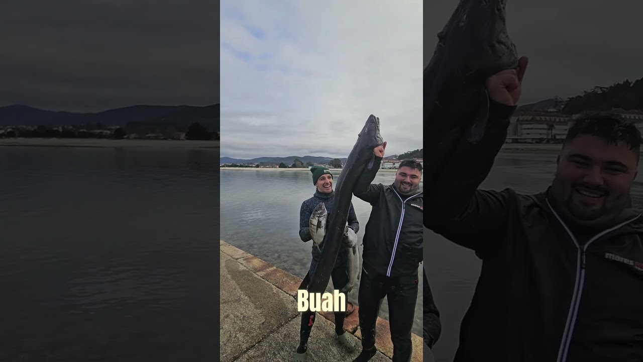 RESULTADO del d&iacute;a de PESCA🤯CONGRIO GIGANTE 18 kg, Lubina y Sargo