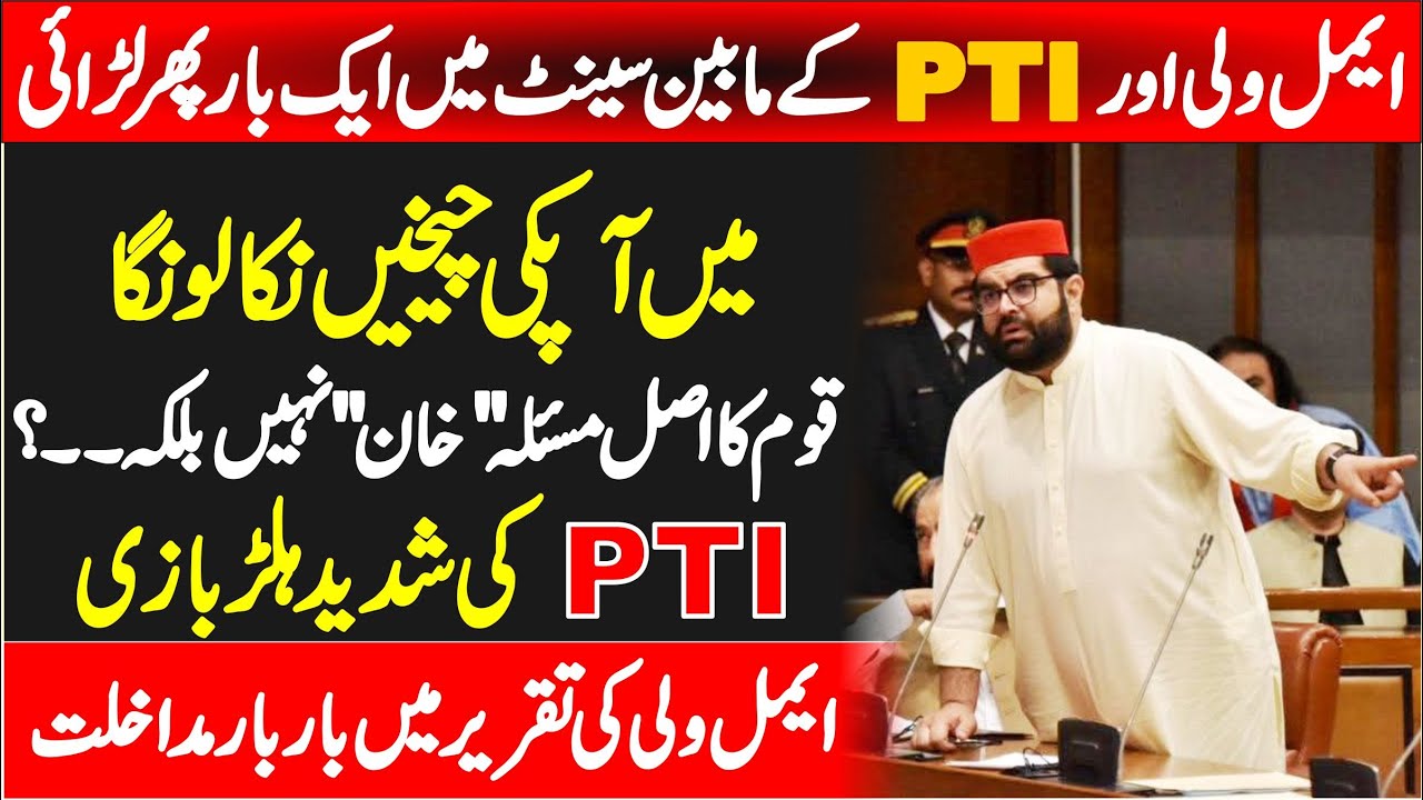 Senator Aimal Wali Khan’s Fiery Speech Comes Down Hard on PTI