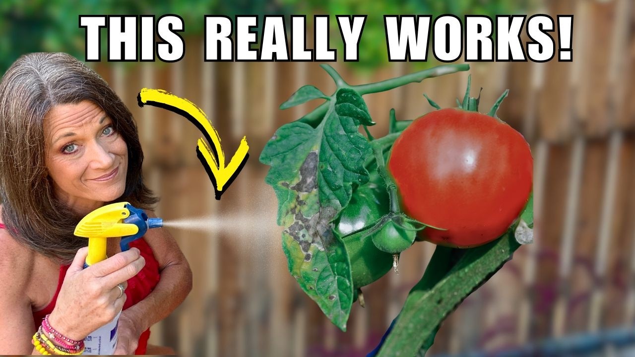 Fight Disease in Your Garden with My Easy 2 Step Plan
