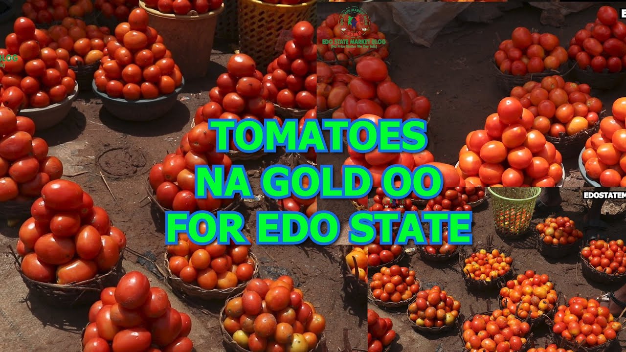 A VISIT TO ADUWAWA TOMATOES MARKET THE BIGGEST TOMATOES MARKET IN BENIN CITY