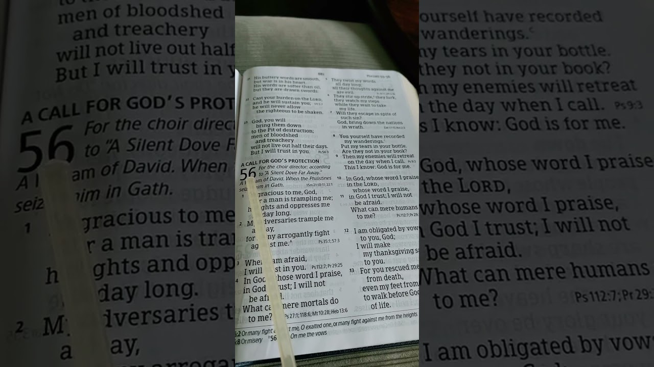Psalms 53 onwards 60