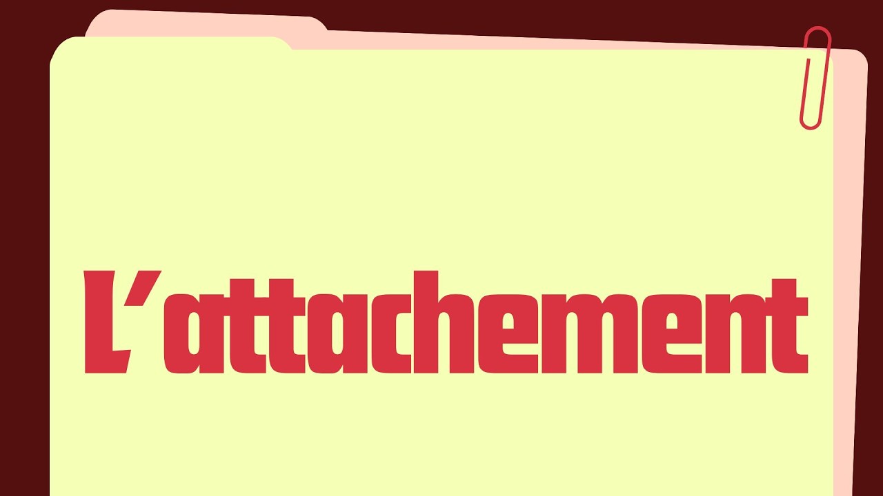 Attachement  Levier en MECS