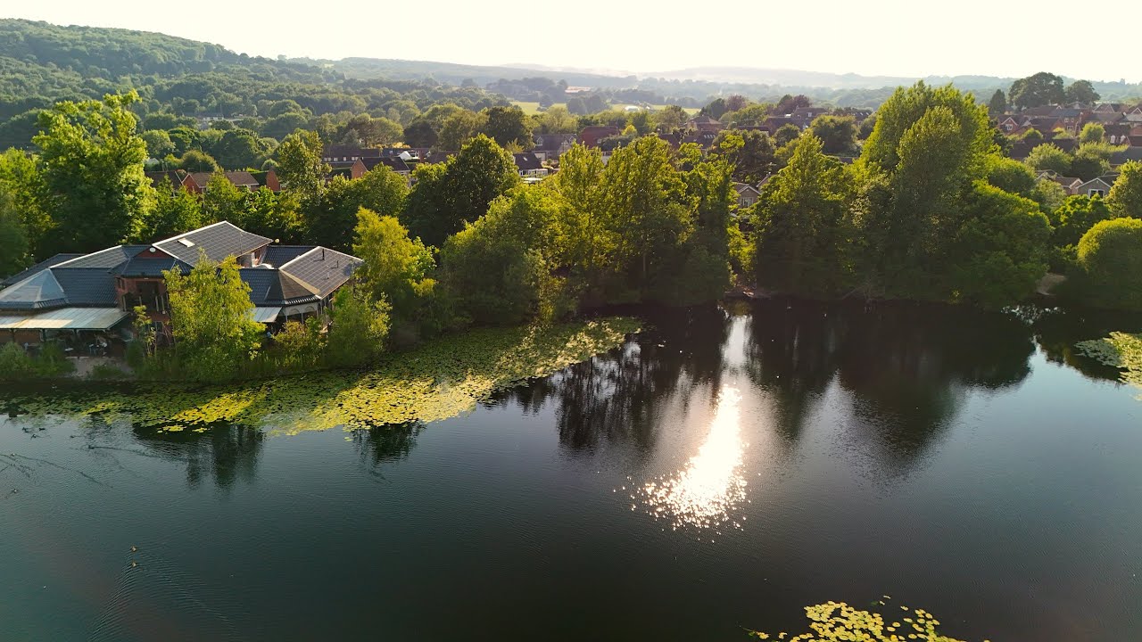 Smithy Pond carp enjoying the sunshine !  DJI