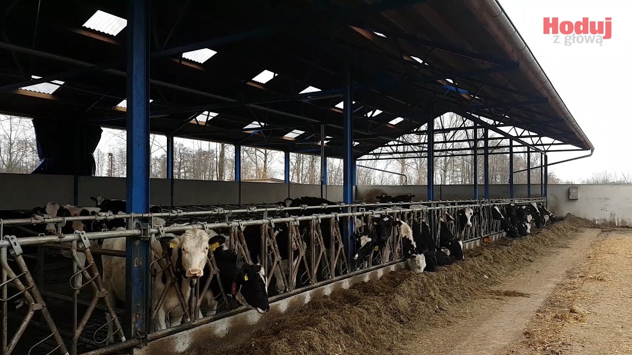 Gospodarstwo rodzinne Renaty i Mieczysława Matysiaków