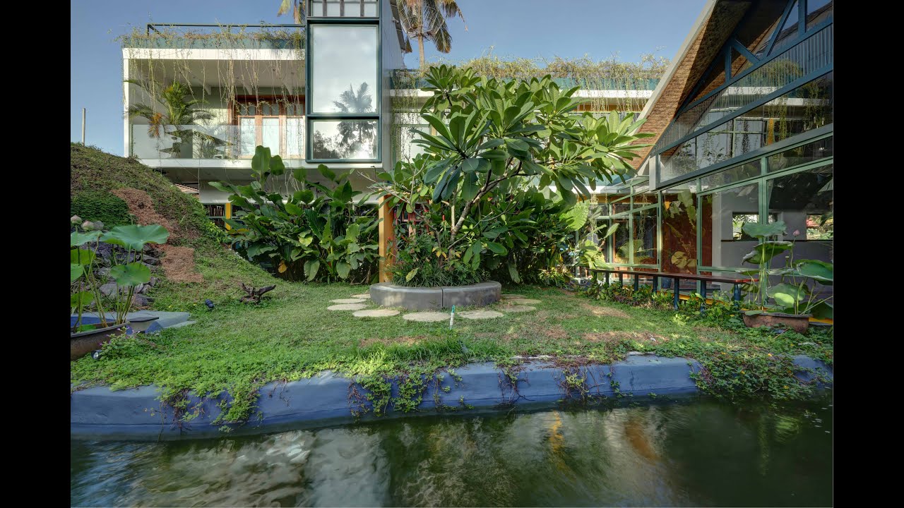 Our New Creative Jungle Office: Where Nature Meets Innovation | Eco-friendly Workspace Inspiration