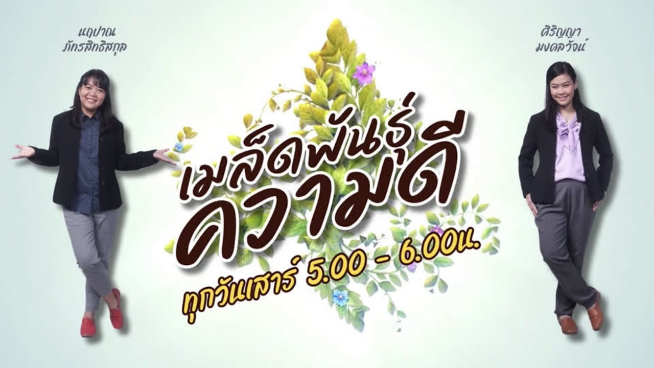 FM 96.5 | เมล็ดพันธุ์ความดี | | 31 ม.ค. 69