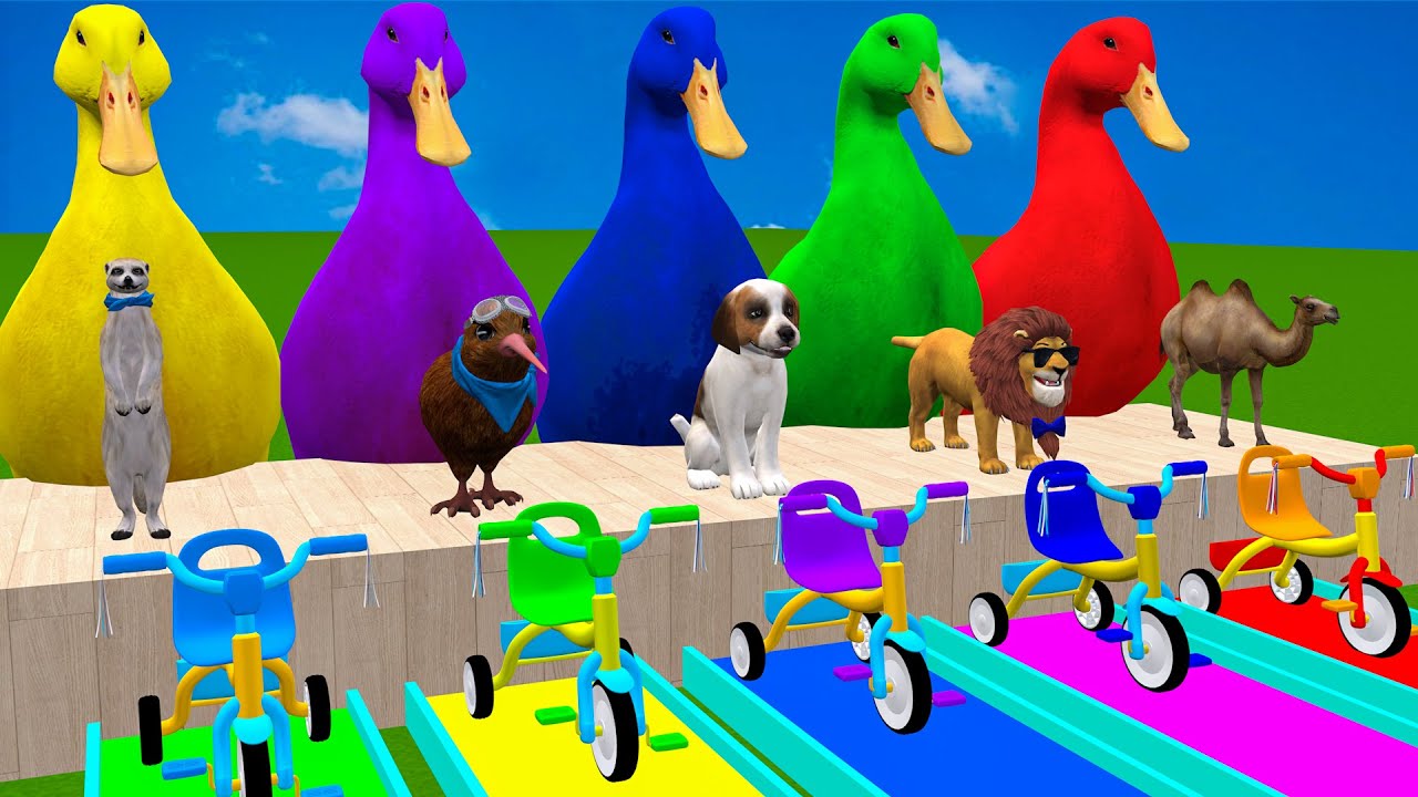 Long Slide Game With Cow Elephant Gorilla Hippopotamus Tiger 3d Animal Game Funny 3d Animals