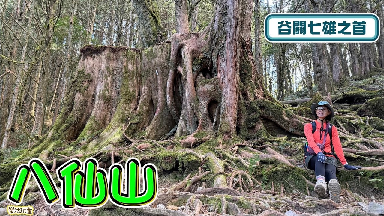 八仙山|八仙山森林遊樂區|靜海寺進|出[樂活玩童NO.243]2026/01/19